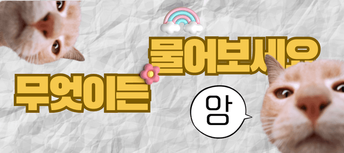 배너 5